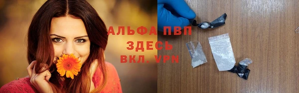 PSILOCYBIN Нефтекумск