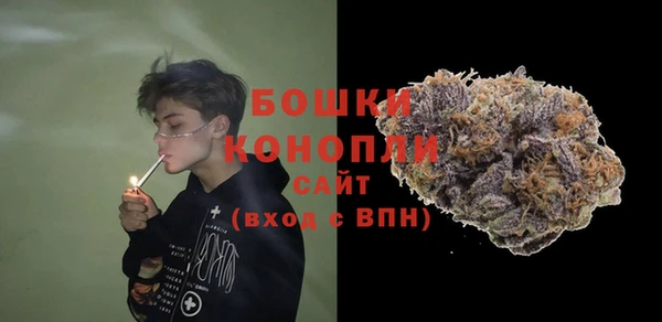 индика Навашино
