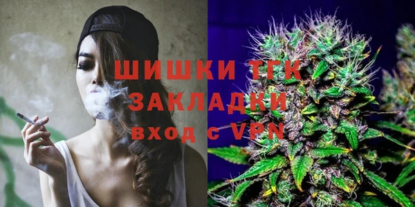 индика Навашино