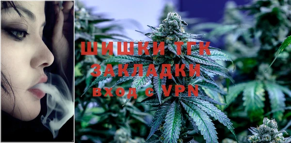 индика Навашино
